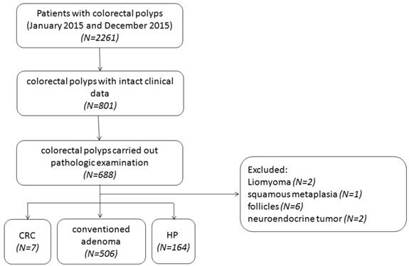 Int J Med Sci Image