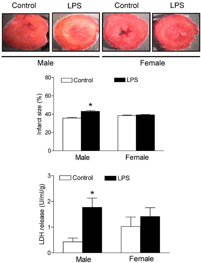 Int J Med Sci Image