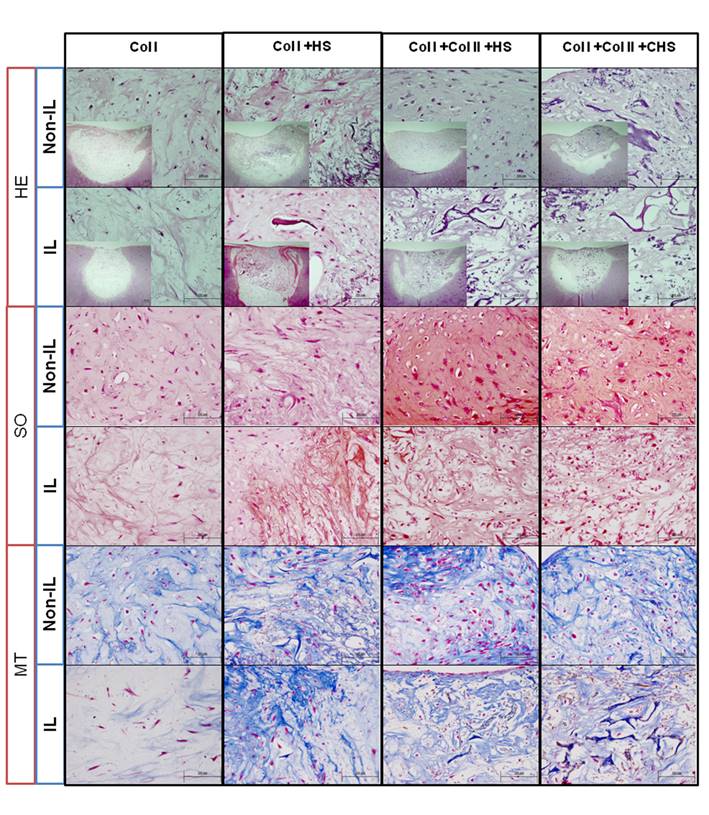 Int J Med Sci Image