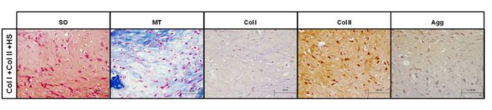 Int J Med Sci Image