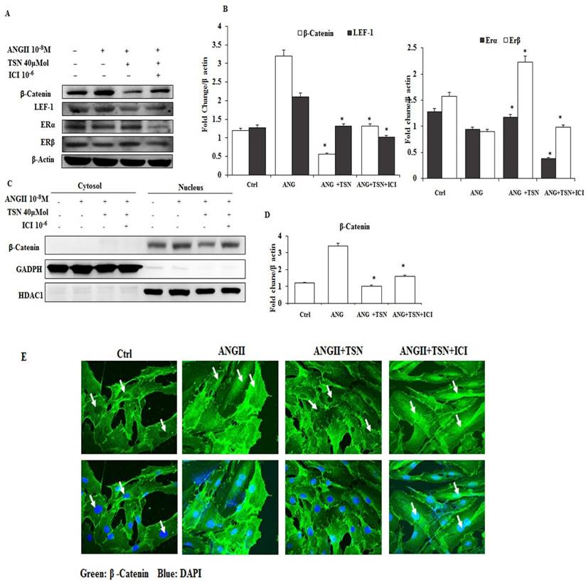 Int J Med Sci Image