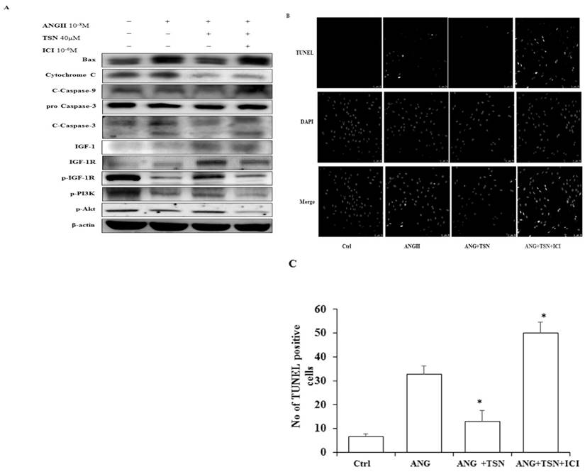 Int J Med Sci Image