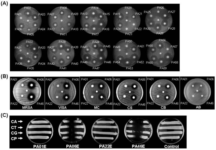 Int J Med Sci Image