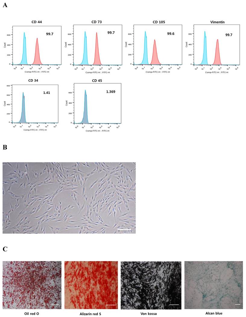 Int J Med Sci Image