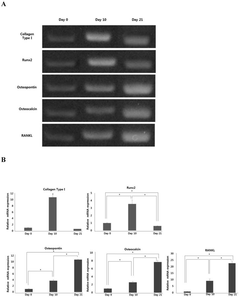 Int J Med Sci Image