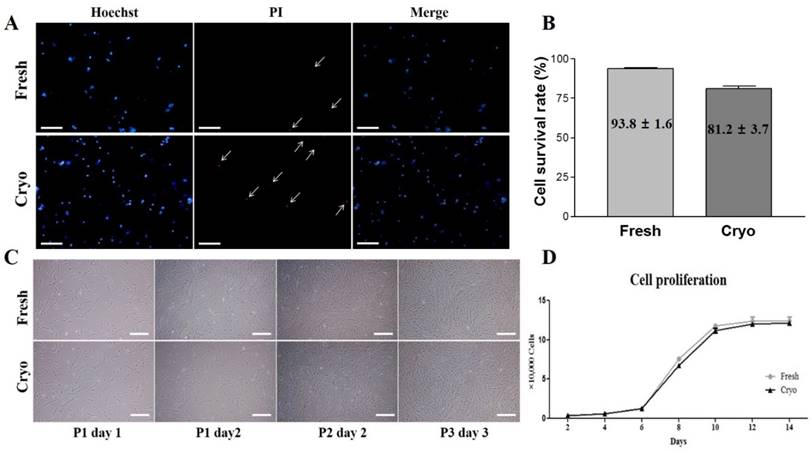 Int J Med Sci Image