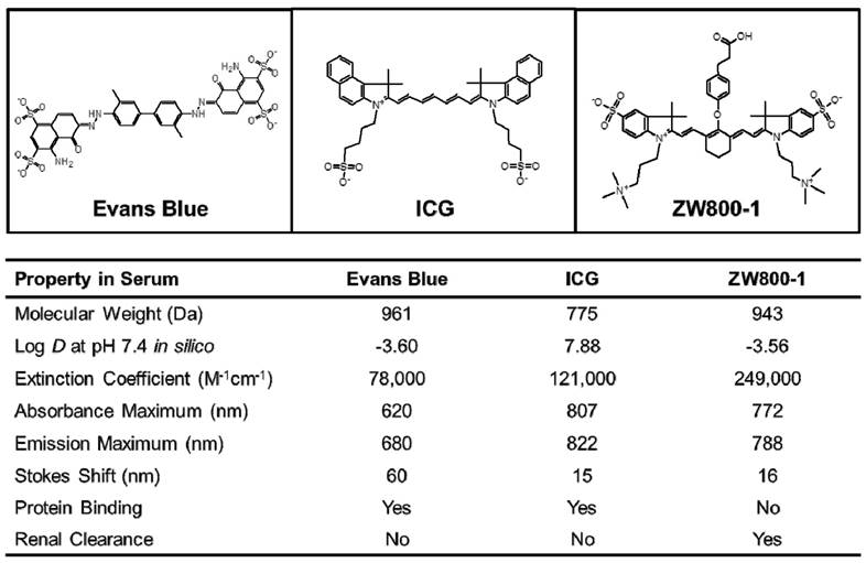 Int J Med Sci Image