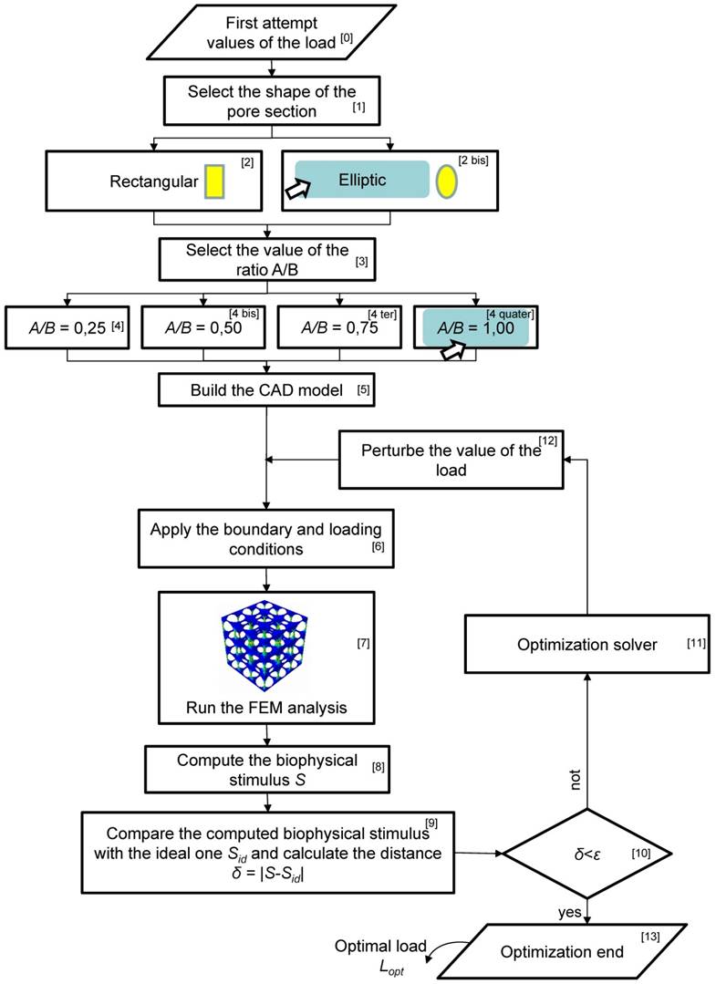 Int J Med Sci Image