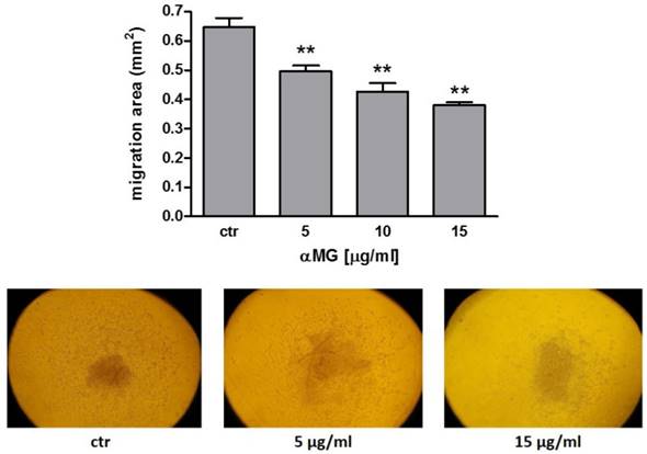 Int J Med Sci Image