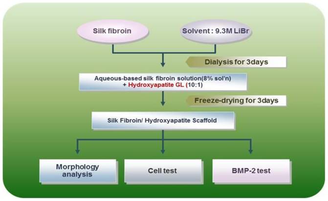 Int J Med Sci Image