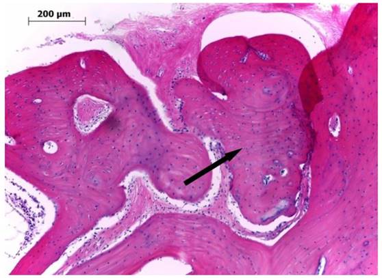 Int J Med Sci Image