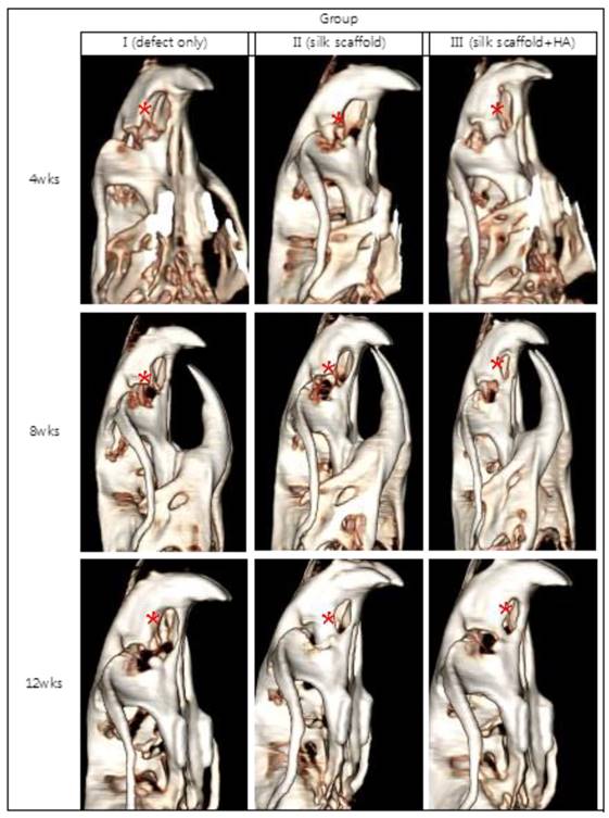 Int J Med Sci Image