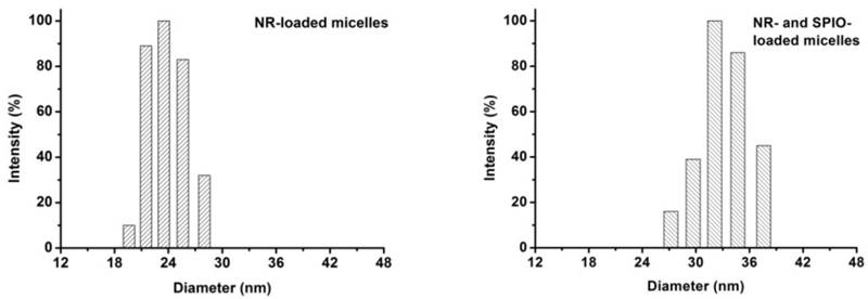 Int J Med Sci Image