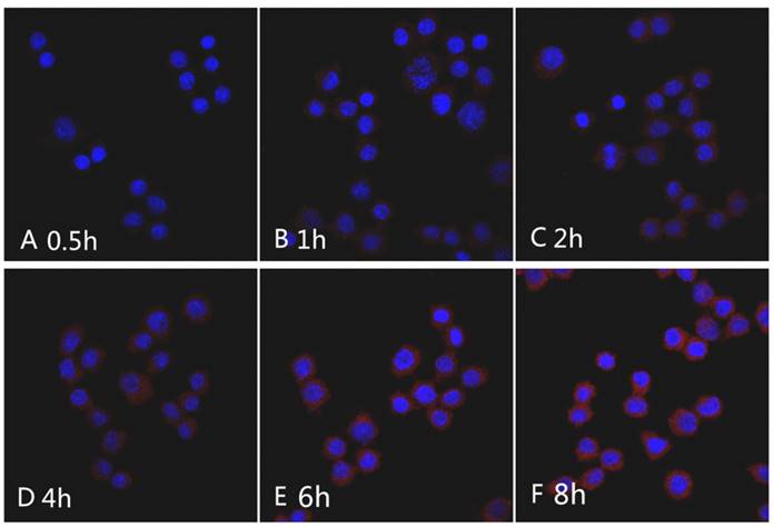 Int J Med Sci Image