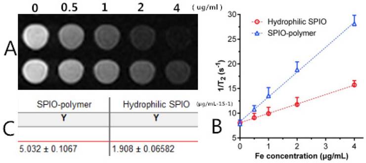 Int J Med Sci Image