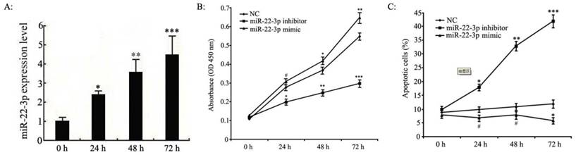 Int J Med Sci Image