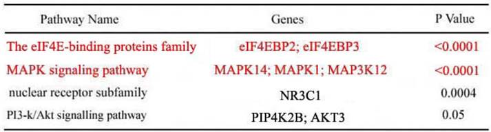 Int J Med Sci Image