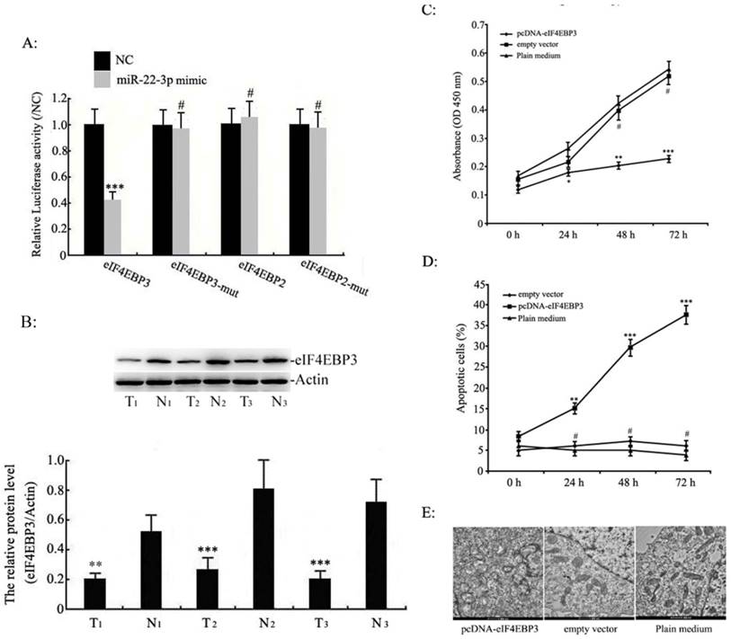 Int J Med Sci Image