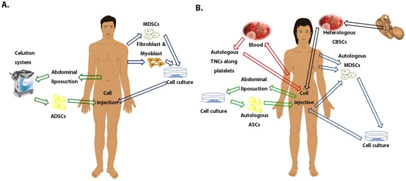 Int J Med Sci Image