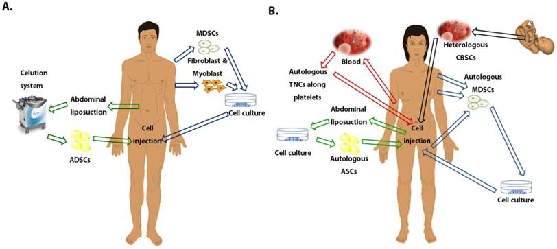 Int J Med Sci Image