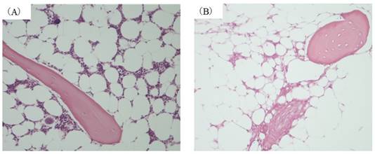 Int J Med Sci Image