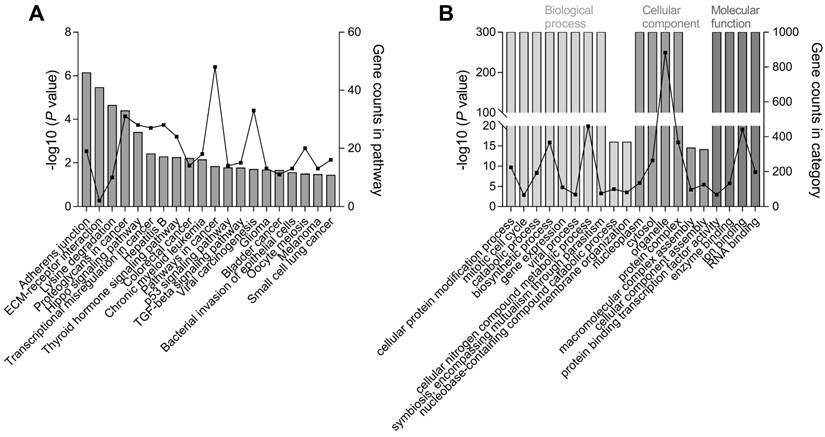 Int J Med Sci Image