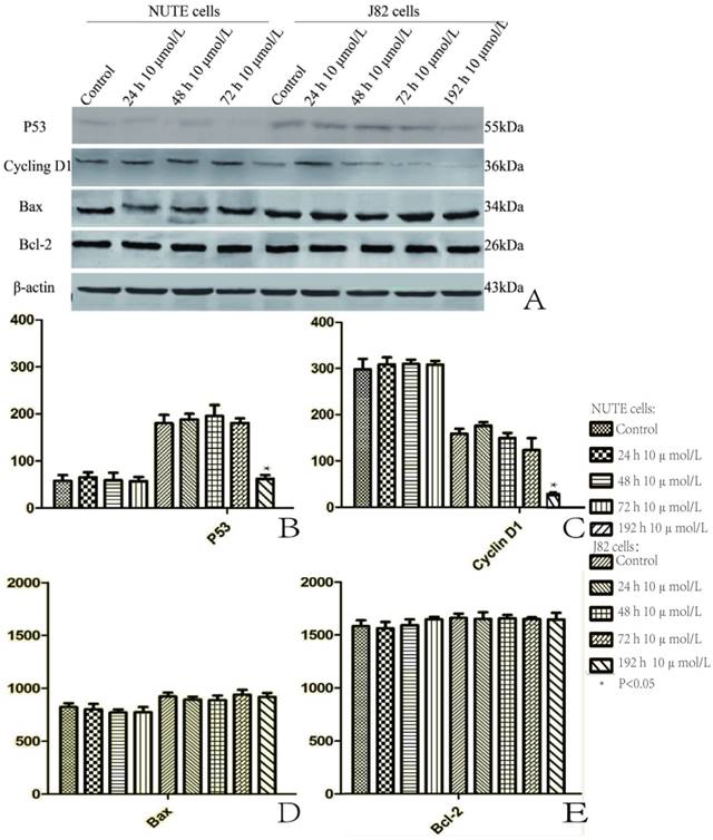 Int J Med Sci Image