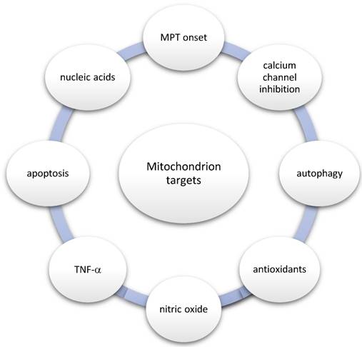 Int J Med Sci Image