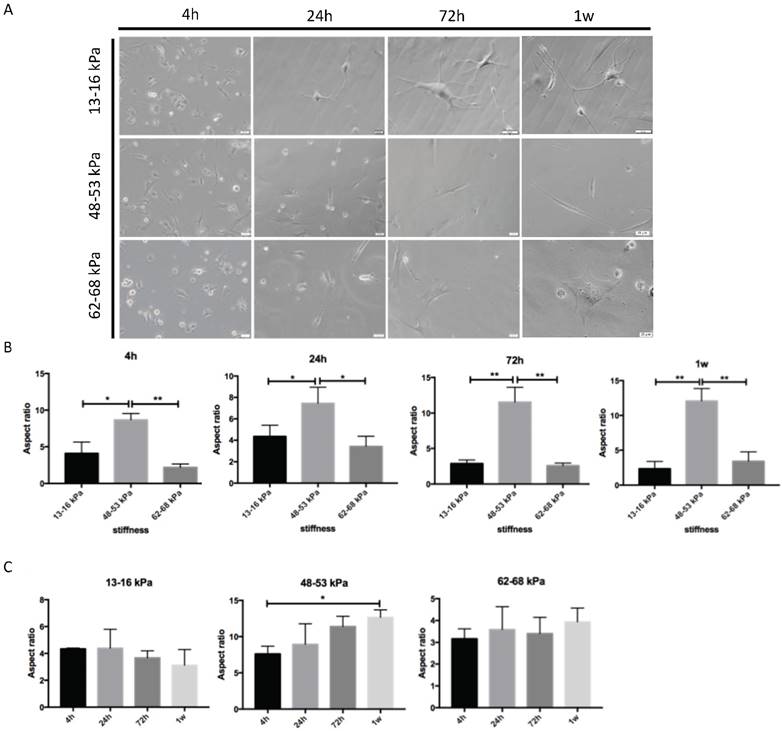 Int J Med Sci Image