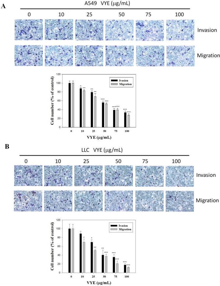 Int J Med Sci Image