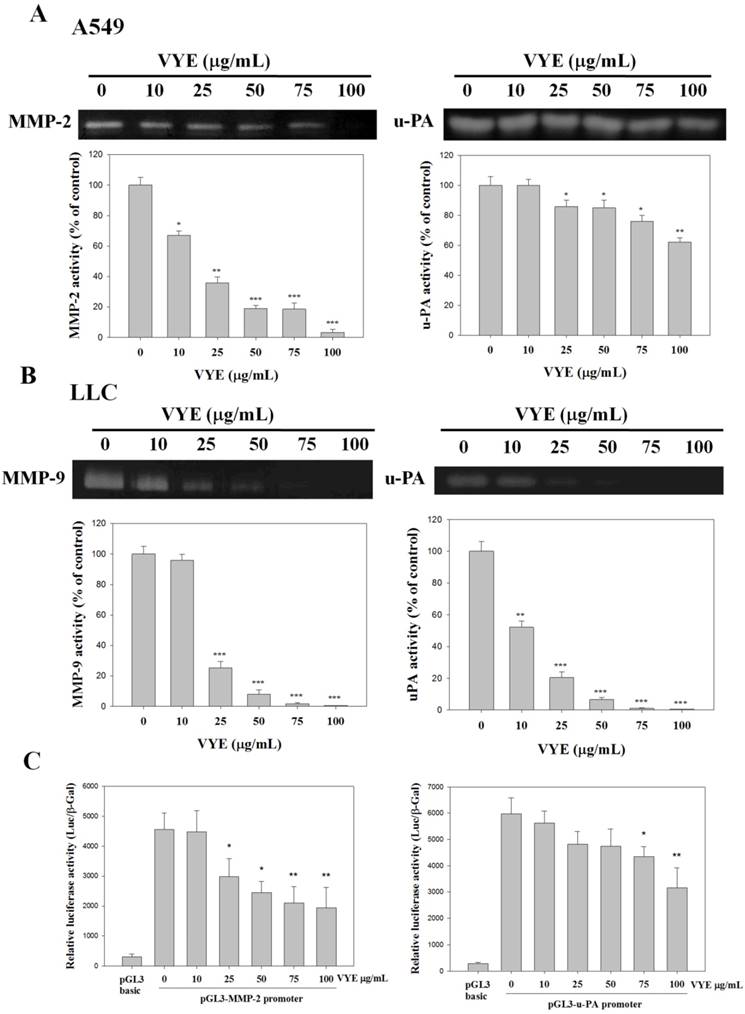 Int J Med Sci Image