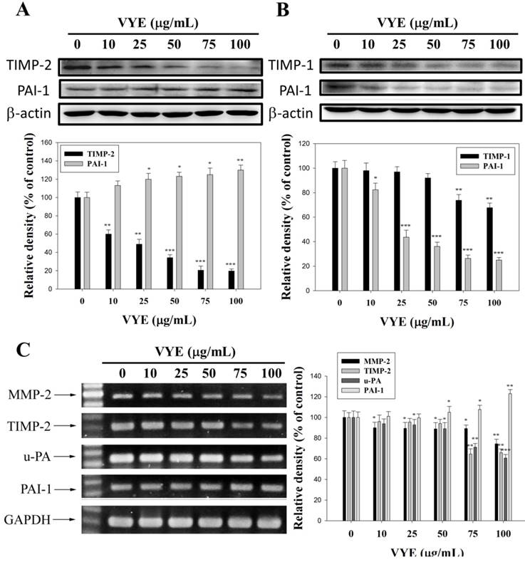 Int J Med Sci Image