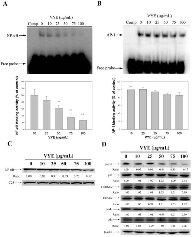 Int J Med Sci Image