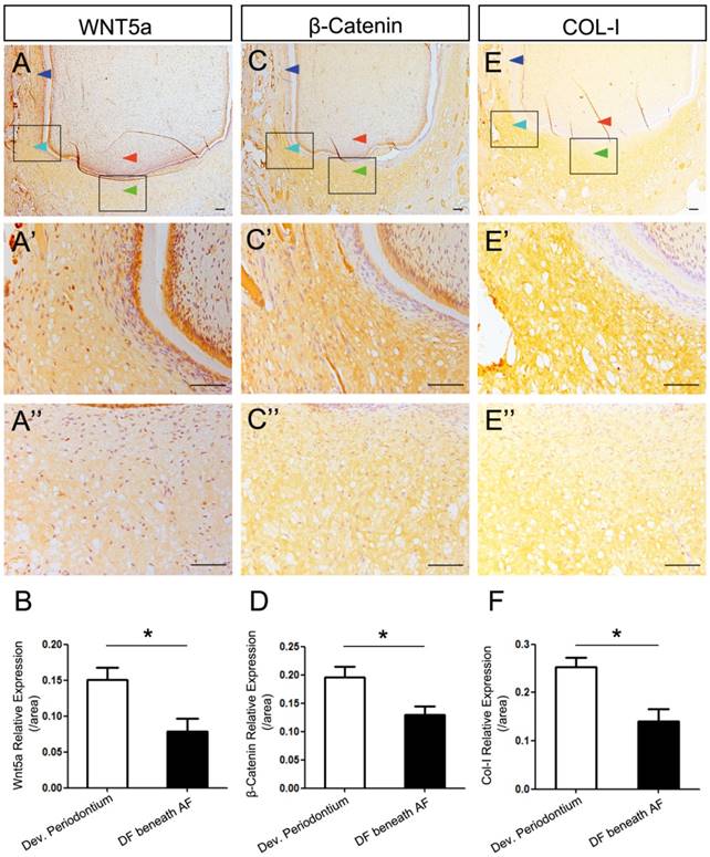 Int J Med Sci Image