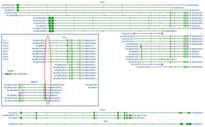 Int J Med Sci Image