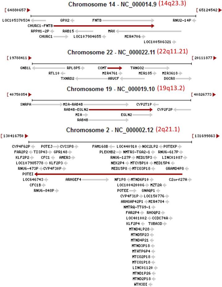 Int J Med Sci Image