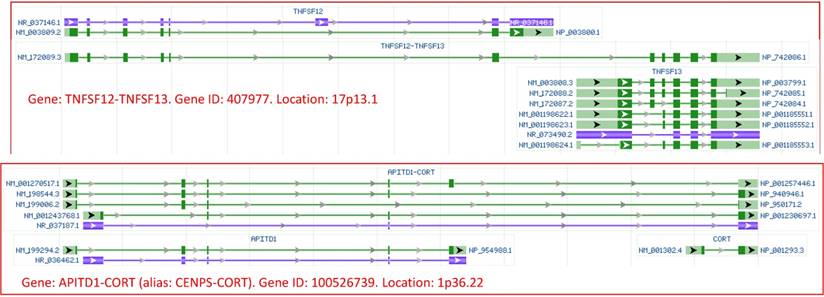 Int J Med Sci Image