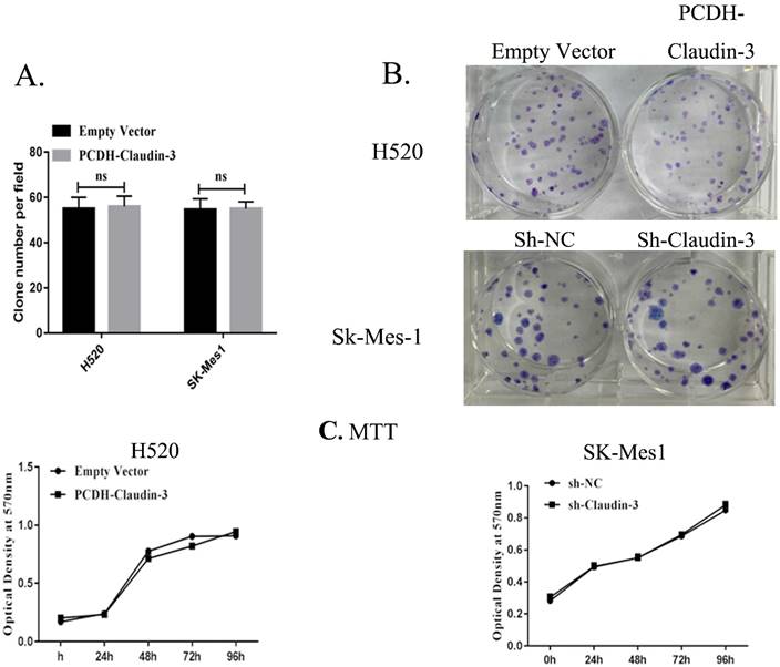 Int J Med Sci Image