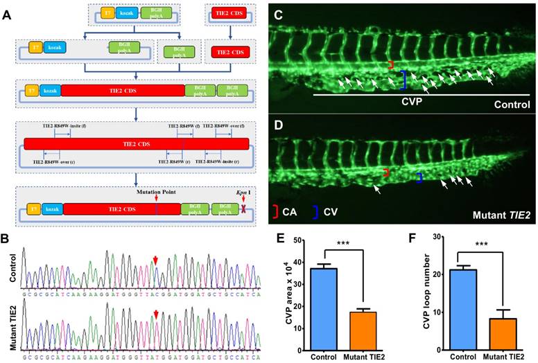 Int J Med Sci Image