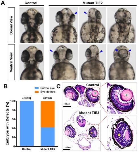 Int J Med Sci Image