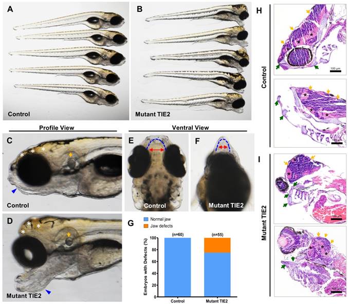 Int J Med Sci Image