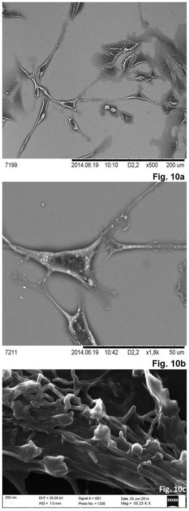 Int J Med Sci Image