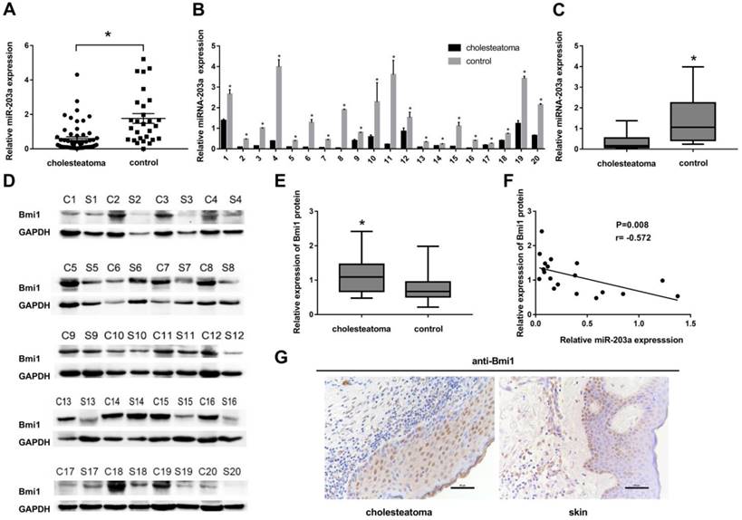 Int J Med Sci Image