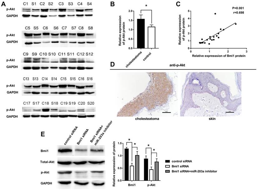 Int J Med Sci Image