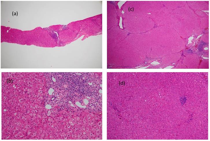 Int J Med Sci Image