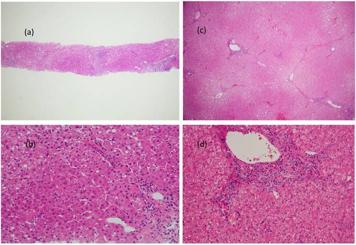 Int J Med Sci Image