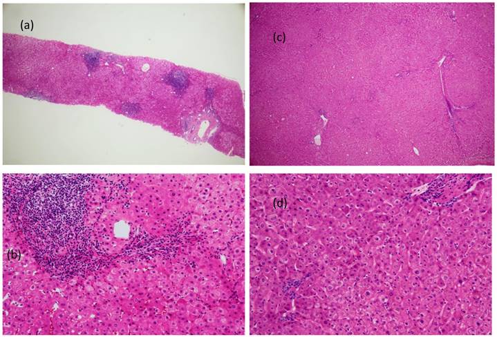 Int J Med Sci Image