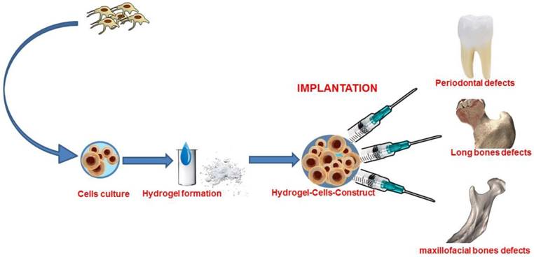 Int J Med Sci Image