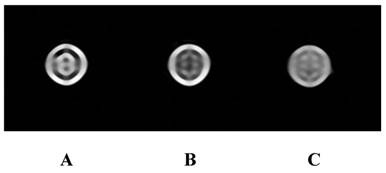 Int J Med Sci Image