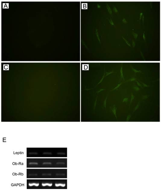 Int J Med Sci Image